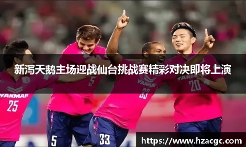 新泻天鹅主场迎战仙台挑战赛精彩对决即将上演